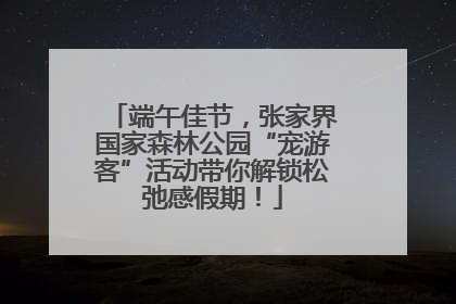 端午佳节，张家界国家森林公园“宠游客”活动带你解锁松弛感假期！
