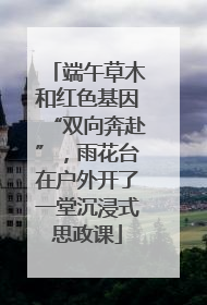 端午草木和红色基因“双向奔赴”，雨花台在户外开了一堂沉浸式思政课