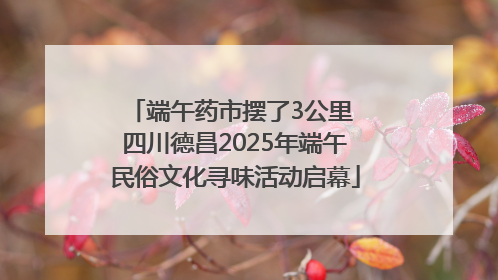端午药市摆了3公里 四川德昌2025年端午民俗文化寻味活动启幕