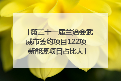 第三十一届兰洽会武威市签约项目122项 新能源项目占比大