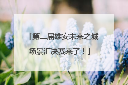 第二届雄安未来之城场景汇决赛来了！