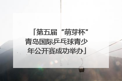 第五届“萌芽杯”青岛国际乒乓球青少年公开赛成功举办