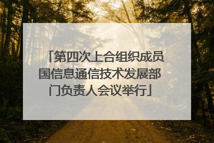 第四次上合组织成员国信息通信技术发展部门负责人会议举行