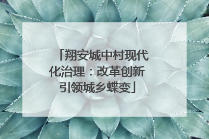 翔安城中村现代化治理：改革创新引领城乡蝶变