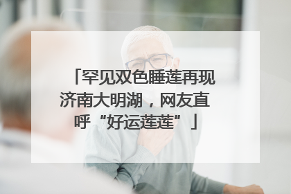 罕见双色睡莲再现济南大明湖，网友直呼“好运莲莲”