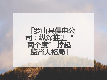 罗山县供电公司：纵深推进“两个度” 撑起监督大格局