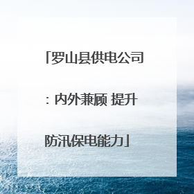 罗山县供电公司：内外兼顾 提升防汛保电能力