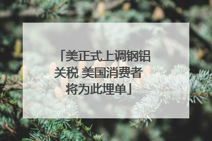 美正式上调钢铝关税 美国消费者将为此埋单
