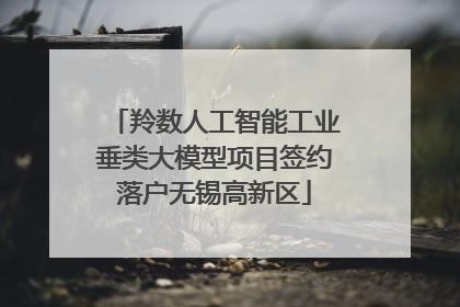 羚数人工智能工业垂类大模型项目签约落户无锡高新区