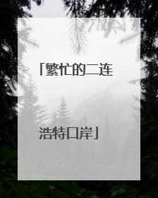 繁忙的二连浩特口岸