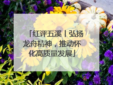 红评五溪丨弘扬龙舟精神，推动怀化高质量发展