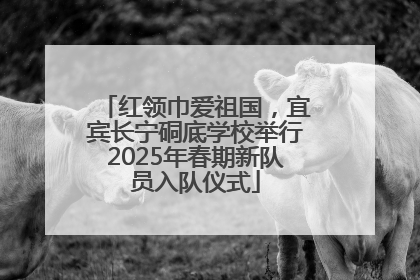 红领巾爱祖国，宜宾长宁硐底学校举行2025年春期新队员入队仪式