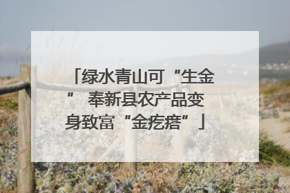 绿水青山可“生金” 奉新县农产品变身致富“金疙瘩”