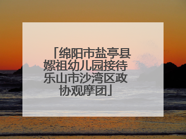 绵阳市盐亭县嫘祖幼儿园接待乐山市沙湾区政协观摩团