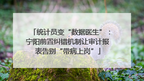 统计员变“数据医生”：宁阳前置纠错机制让审计报表告别“带病上岗”