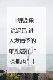 缠鹿角 涂泥巴 进入发情季的雄鹿这样“秀肌肉”