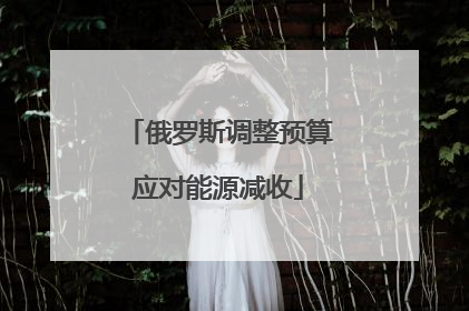 俄罗斯调整预算应对能源减收