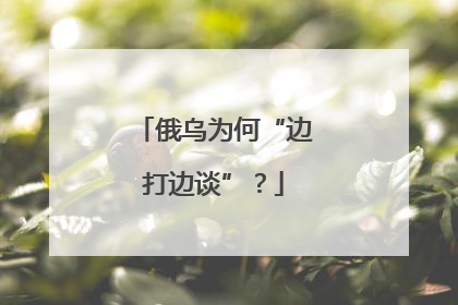 俄乌为何“边打边谈”？
