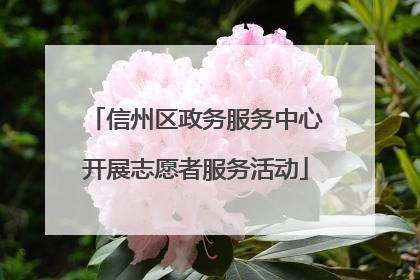 信州区政务服务中心开展志愿者服务活动