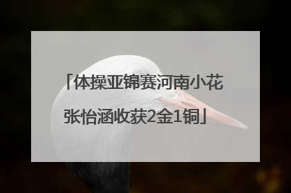体操亚锦赛河南小花张怡涵收获2金1铜