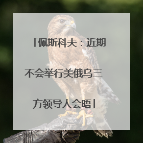 佩斯科夫：近期不会举行美俄乌三方领导人会晤