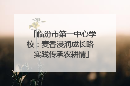 临汾市第一中心学校：麦香浸润成长路 实践传承农耕情