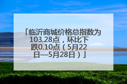 临沂商城价格总指数为103.28点，环比下跌0.10点（5月22日—5月28日）