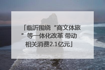 临沂围绕“商文体旅”等一体化改革 带动相关消费2.1亿元