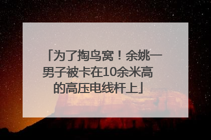 为了掏鸟窝！余姚一男子被卡在10余米高的高压电线杆上