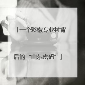 一个彩椒专业村背后的“山东密码”