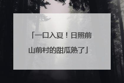 一口入夏！日照前山前村的甜瓜熟了