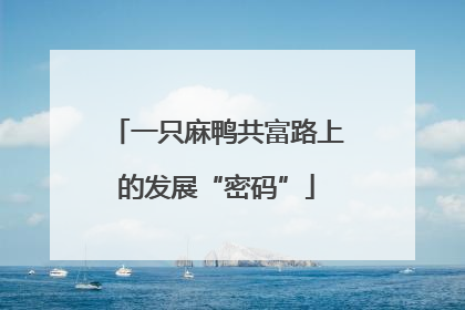 一只麻鸭共富路上的发展“密码”