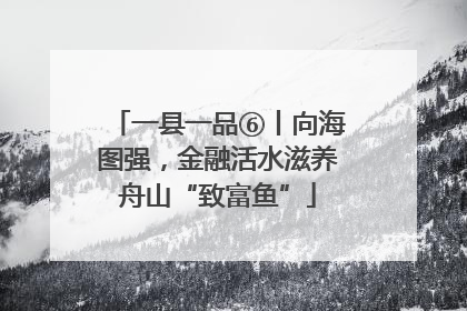 一县一品⑥丨向海图强，金融活水滋养舟山“致富鱼”