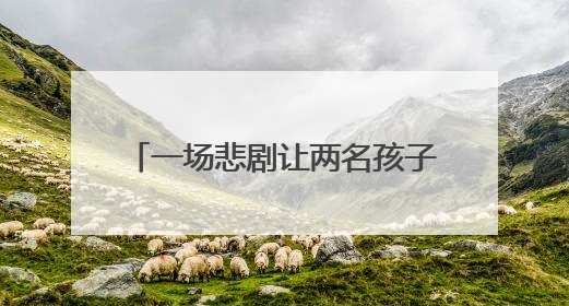 一场悲剧让两名孩子成“事实孤儿”，一次救助让希望重燃
