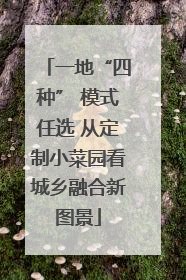 一地“四种” 模式任选 从定制小菜园看城乡融合新图景