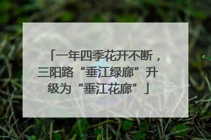 一年四季花开不断，三阳路“垂江绿廊”升级为“垂江花廊”
