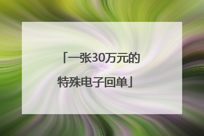 一张30万元的特殊电子回单