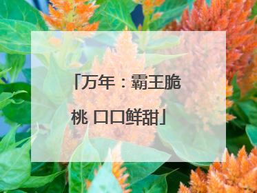 万年：霸王脆桃 口口鲜甜