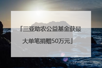 三亚助农公益基金获最大单笔捐赠50万元