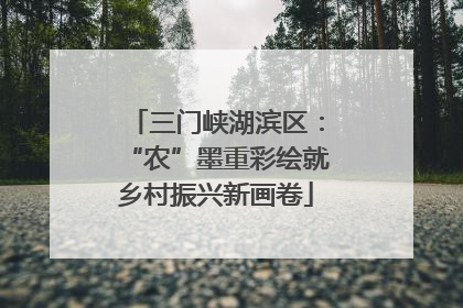 三门峡湖滨区：“农”墨重彩绘就乡村振兴新画卷
