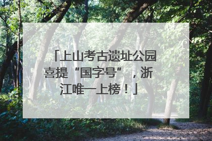上山考古遗址公园喜提“国字号”，浙江唯一上榜！