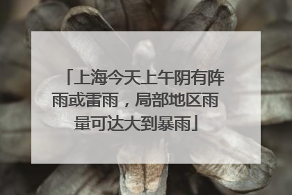 上海今天上午阴有阵雨或雷雨，局部地区雨量可达大到暴雨
