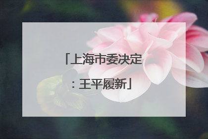 上海市委决定：王平履新