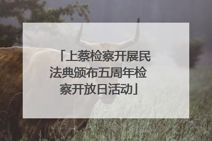 上蔡检察开展民法典颁布五周年检察开放日活动