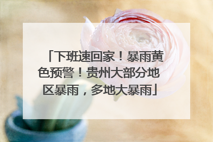 下班速回家！暴雨黄色预警！贵州大部分地区暴雨，多地大暴雨