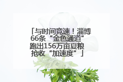 与时间竞速！淄博66条“金色通道”跑出156万亩夏粮抢收“加速度”