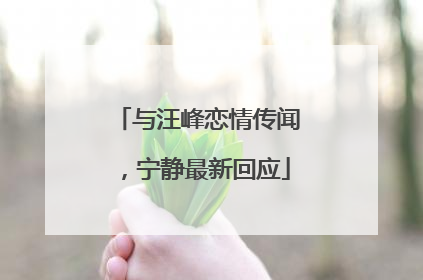 与汪峰恋情传闻，宁静最新回应
