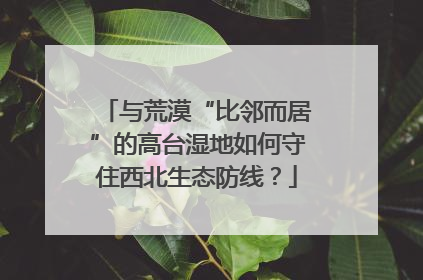 与荒漠“比邻而居”的高台湿地如何守住西北生态防线？