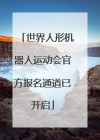 世界人形机器人运动会官方报名通道已开启