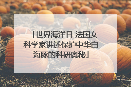 世界海洋日 法国女科学家讲述保护中华白海豚的科研奥秘